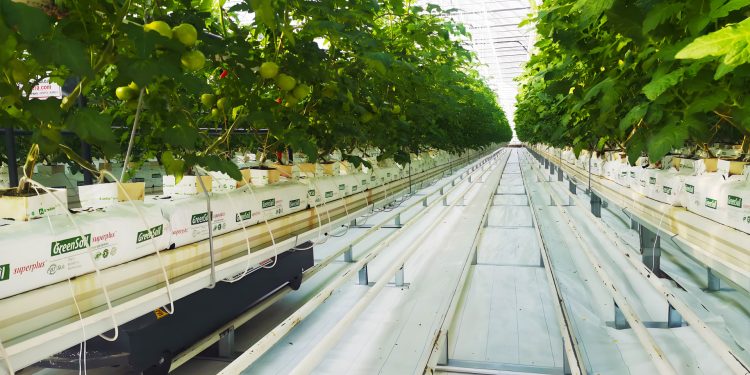 Seralar, Yağmur Hasadı ile Su Kaynakları Üzerindeki Baskıyı Azaltıyor