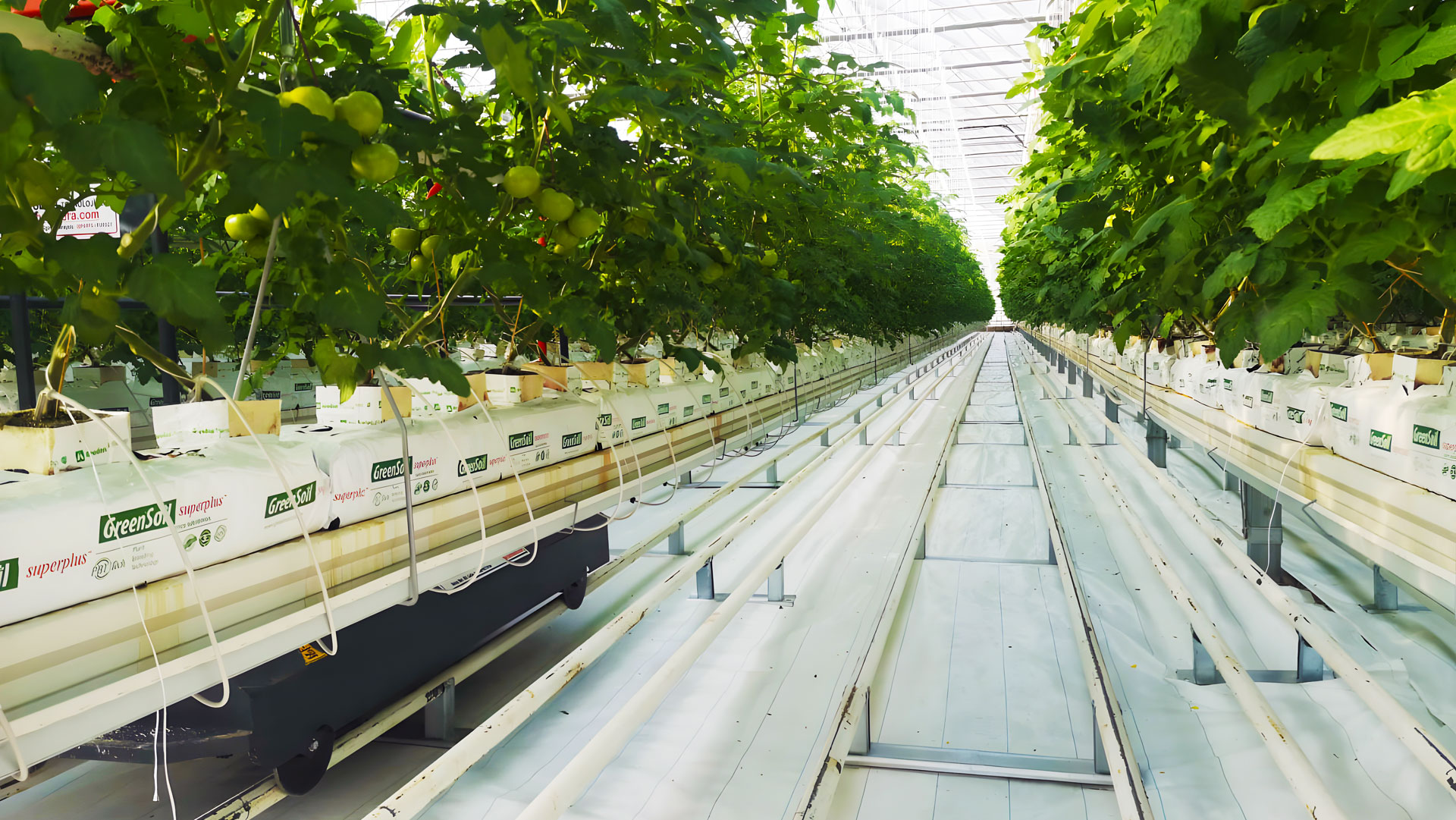 Seralar, Yağmur Hasadı ile Su Kaynakları Üzerindeki Baskıyı Azaltıyor